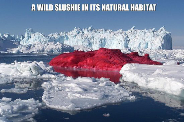 awesome-funny-hilarious-45